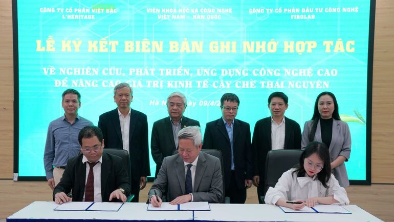 M Good88 link ký kết hợp tác nâng cao giá trị kinh tế cây chè Thái Nguyên