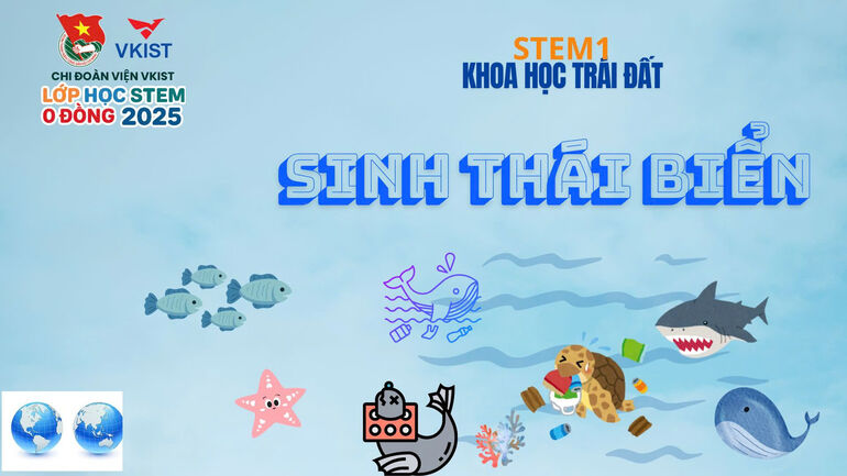 Lan tỏa sứ mệnh gìn giữ đại dương xanh từ lớp học STEM 0 đồng của M Good88 link